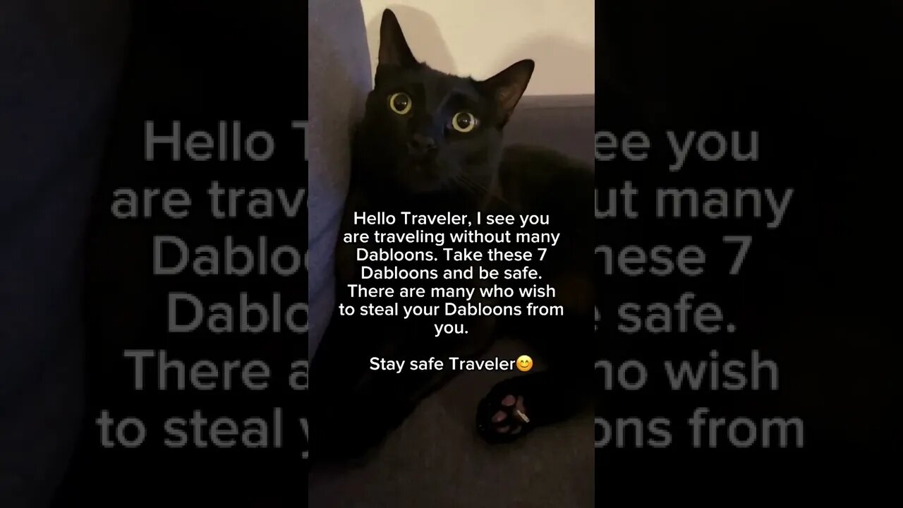 Omen the Void grants you his blessingš¤ #dabloon #dabloons #dabloonscat #cat #blackcat #kitten