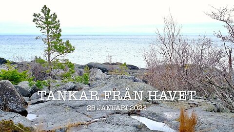 Tankar från havet 25 januari 2023
