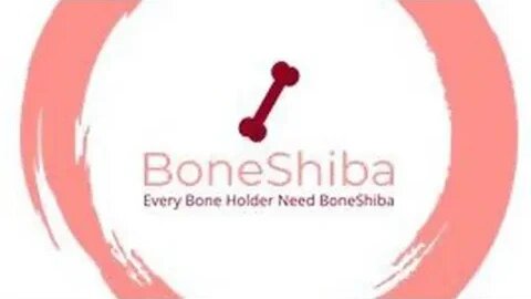 BoneShiba, $Bshib is the new AI project for Shibarium.