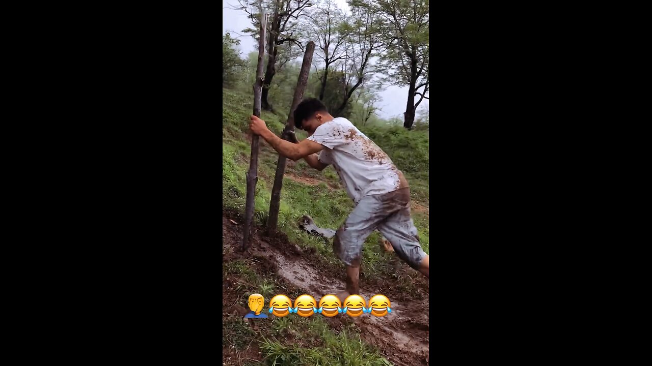 funny videos calips