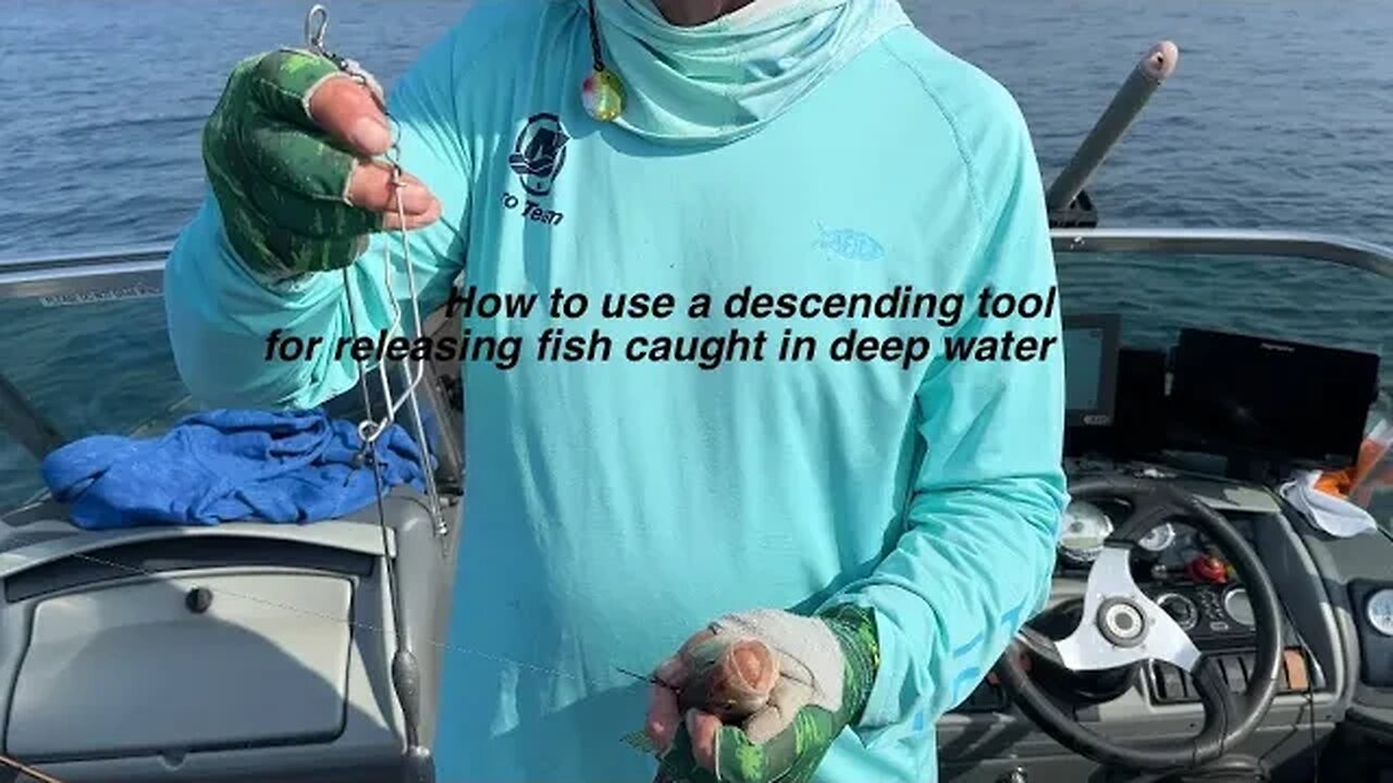 How to use a descending tool for releasing fish in deep water.