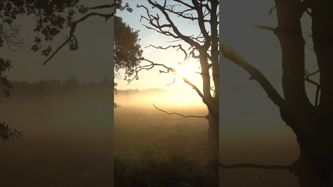 Relaxation short video please enjoy #Shorts #NewVideo #Relaxation #Meditation