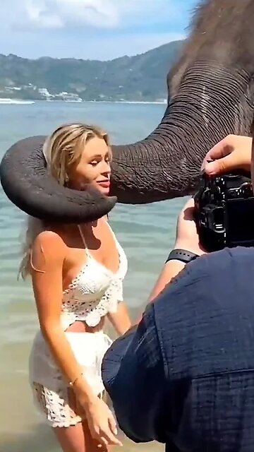 The End 🤣😜🤣