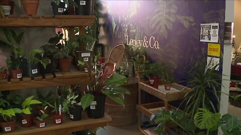 New plant shop in Massillon offered as safe, inclusive spot for local community