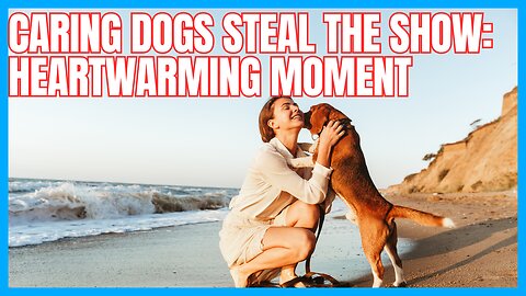 Caring Dogs Steal the Show: Heartwarming Moment!