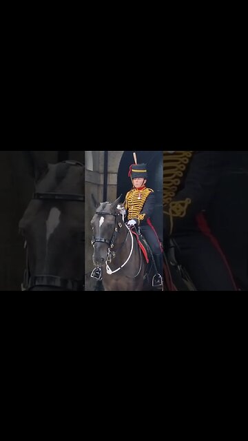Don't touch the reins #horseguardsparade
