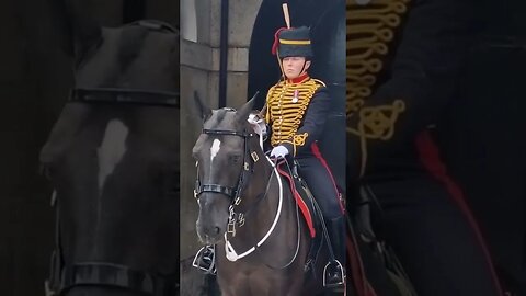 Don't touch the reins #horseguardsparade