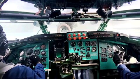 When the bear is hungry for honey