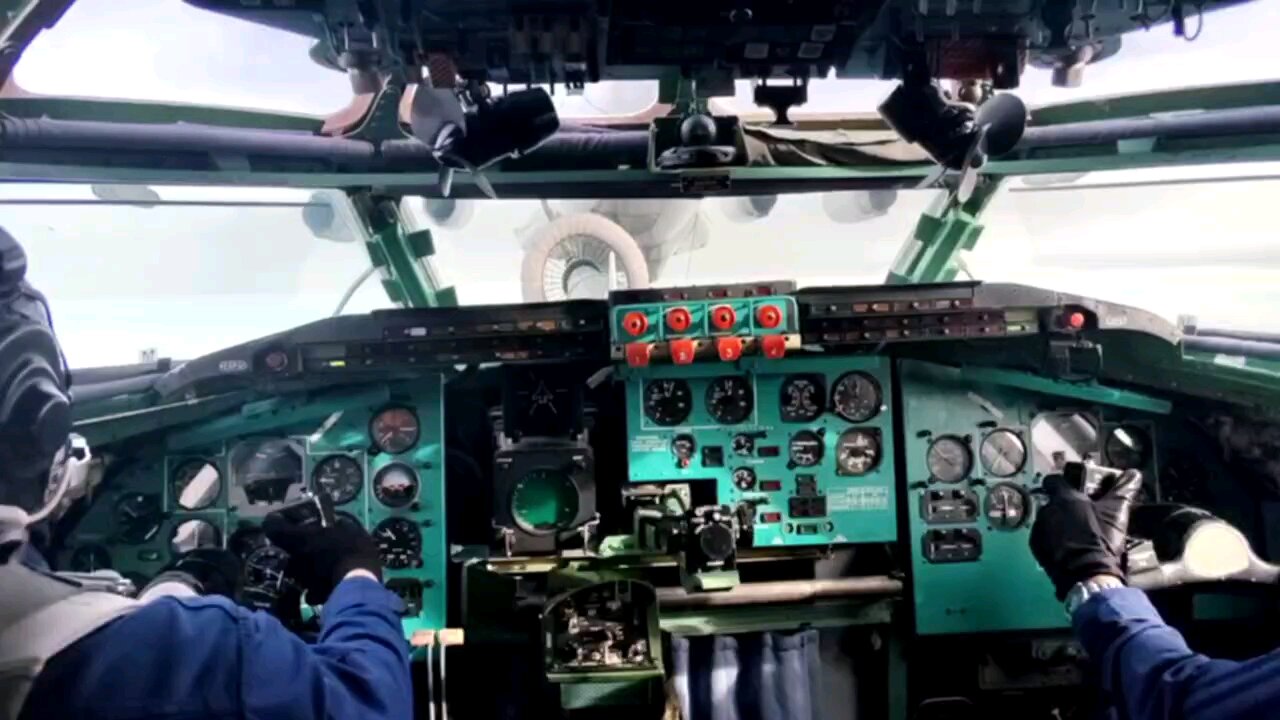 When the bear is hungry for honey