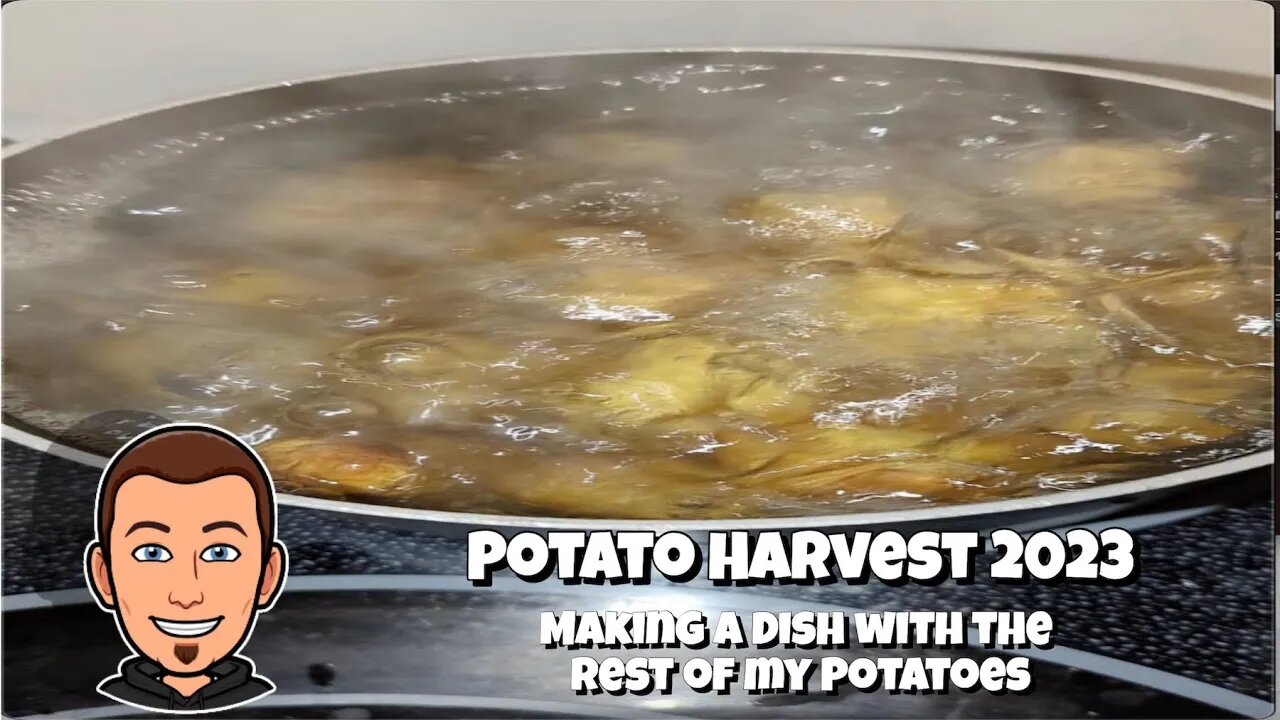 Potato Harvest 2023: Making a Dish with the Rest of my Potatoes