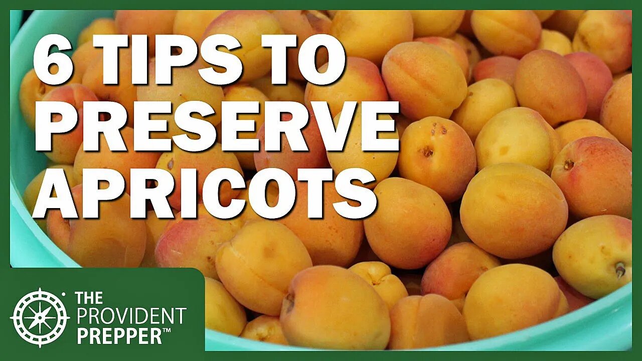 6 Methods for Preserving Apricots to Enjoy the Harvest for Years to Come