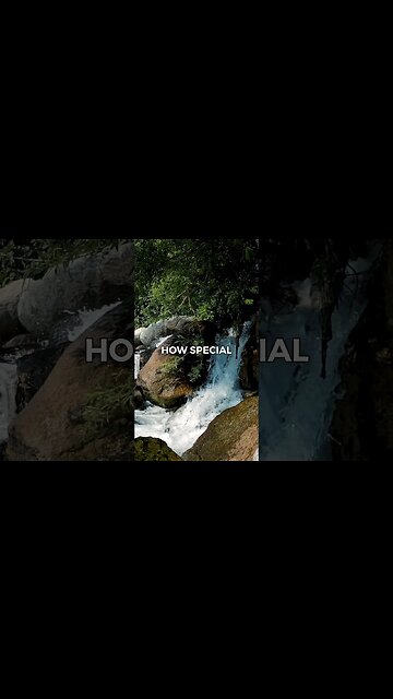 Listen to full meditations at Women's meditation network channel #meditation #sleep #shorts