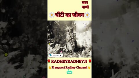 चींटी का जीवन||#youtubeshorts #short #shortsfeed #radhakrishna