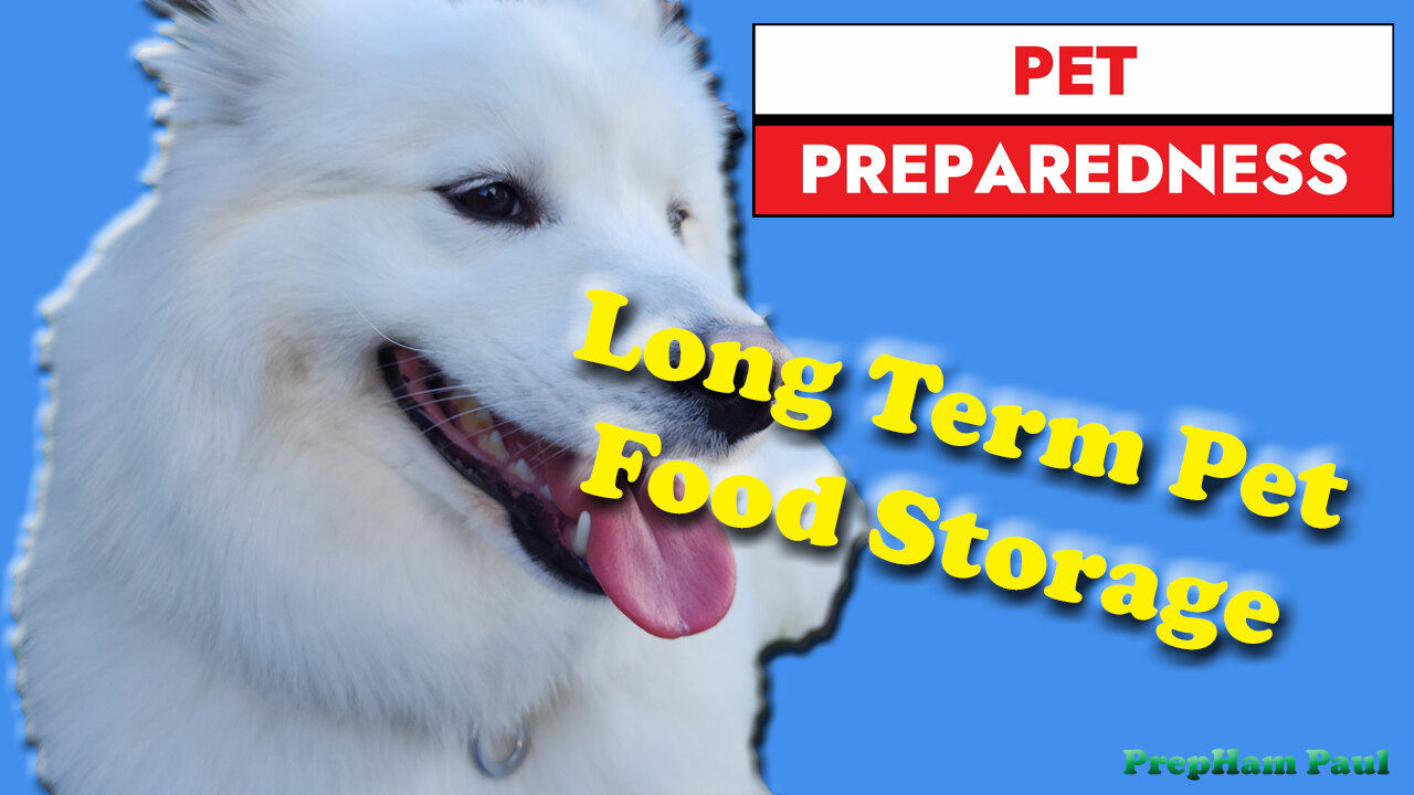 Is YOUR pet prepared for a crisis?