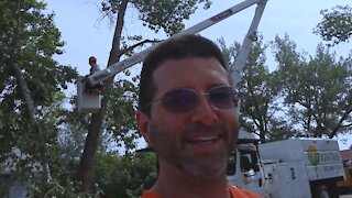 Big Tree Disaster Clean Up! ...TIGER TREE Saves the Day!
