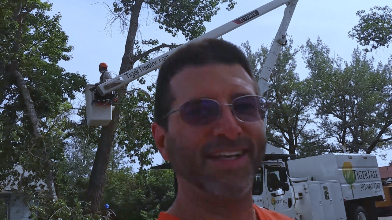 Big Tree Disaster Clean Up! ...TIGER TREE Saves the Day!