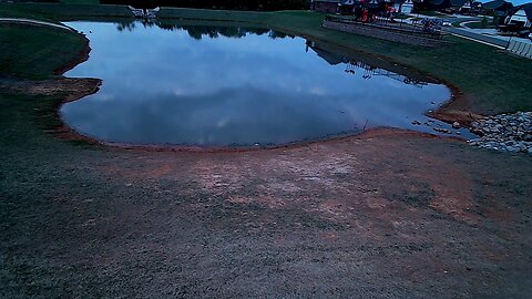 The Pond