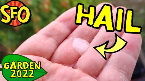 The Garden Got HAILED ON (Garden 2022)