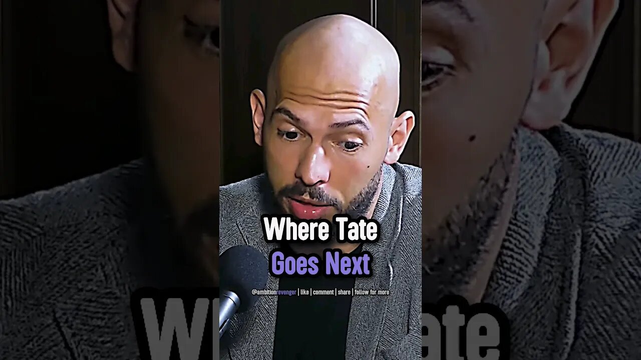 Where Tate Goes Next