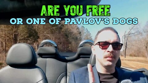 Are You Free, or One of Pavlov's Dogs