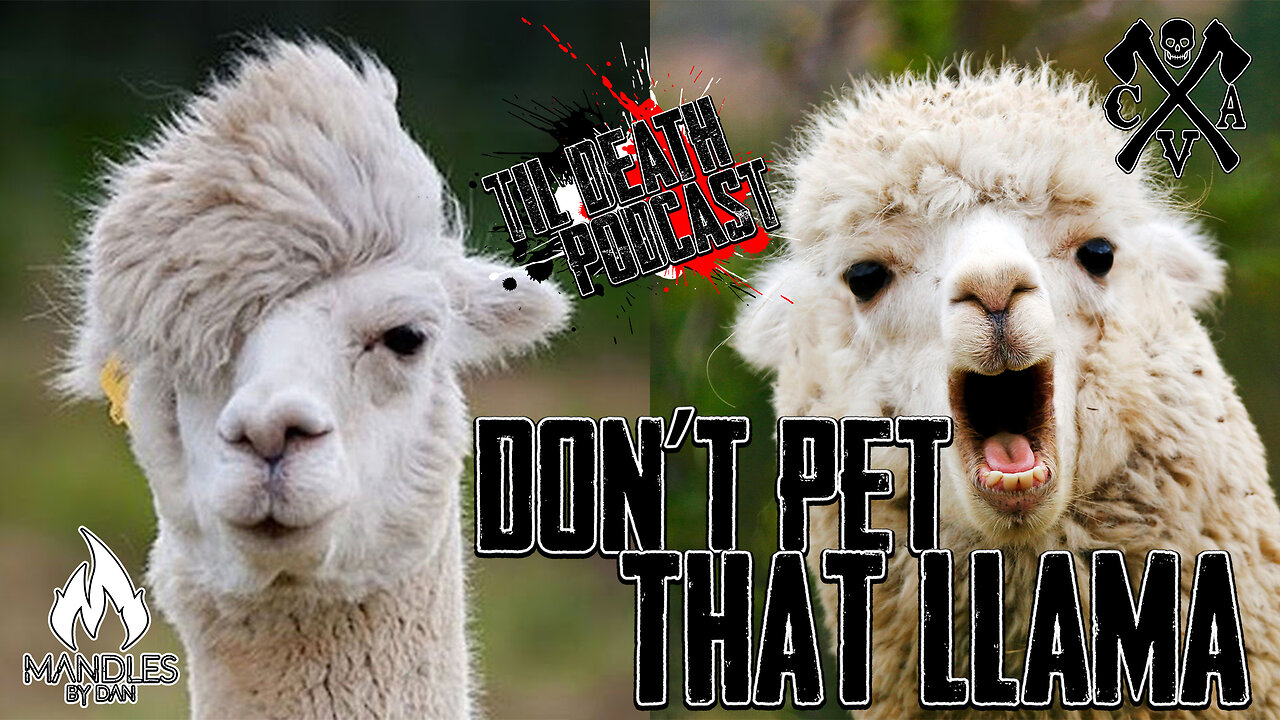 Don't Pet That Llama | Til Death Podcast | CLIP