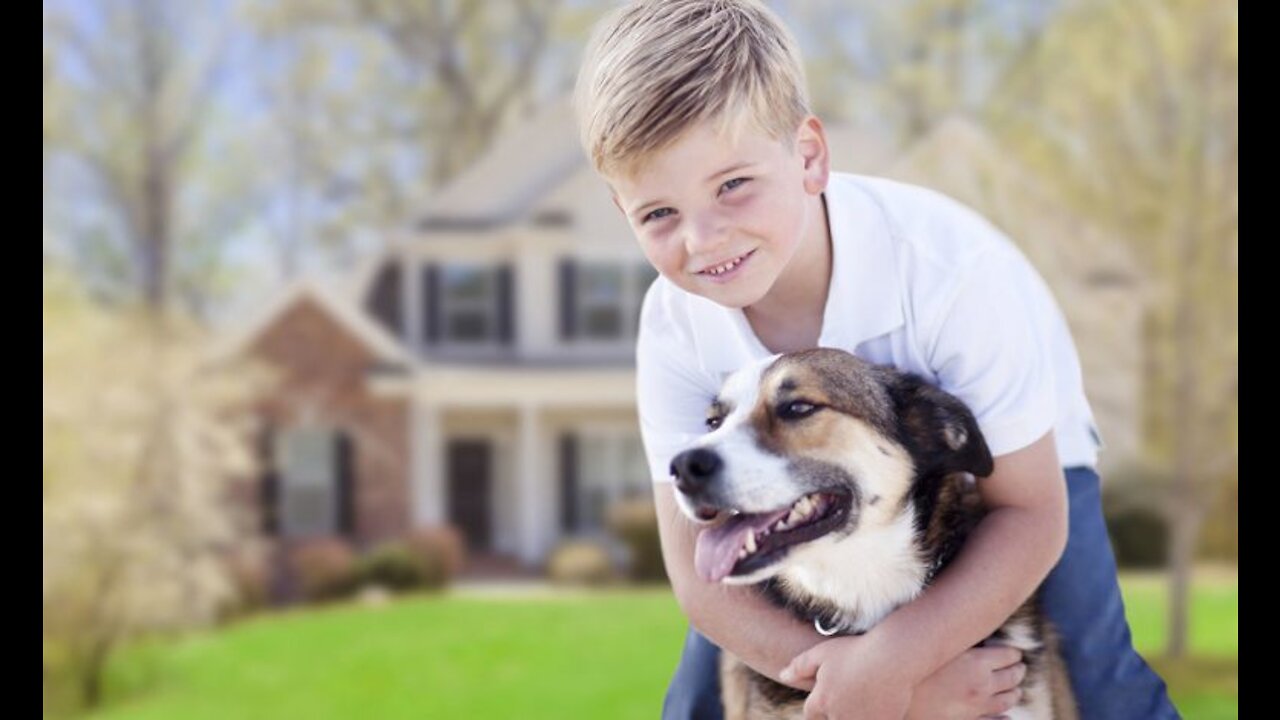 The child and the dog are very funny subscribe to the channel