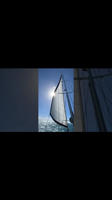 Clarity Marine in Grenada Fixed Our New & Faulty Reckmann Furler #shorts