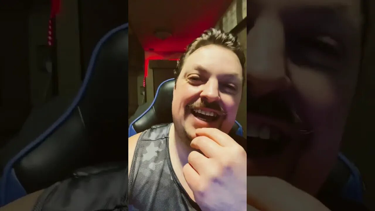 This Cat Does Not Like To Be Touched! 🤣