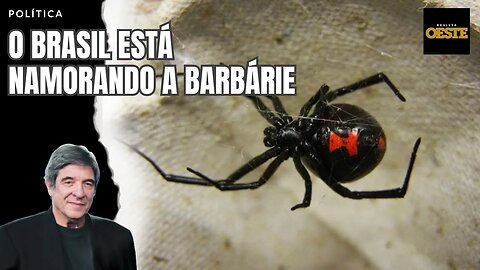 O BRASIL ESTÁ NAMORANDO A BARBÁRIE