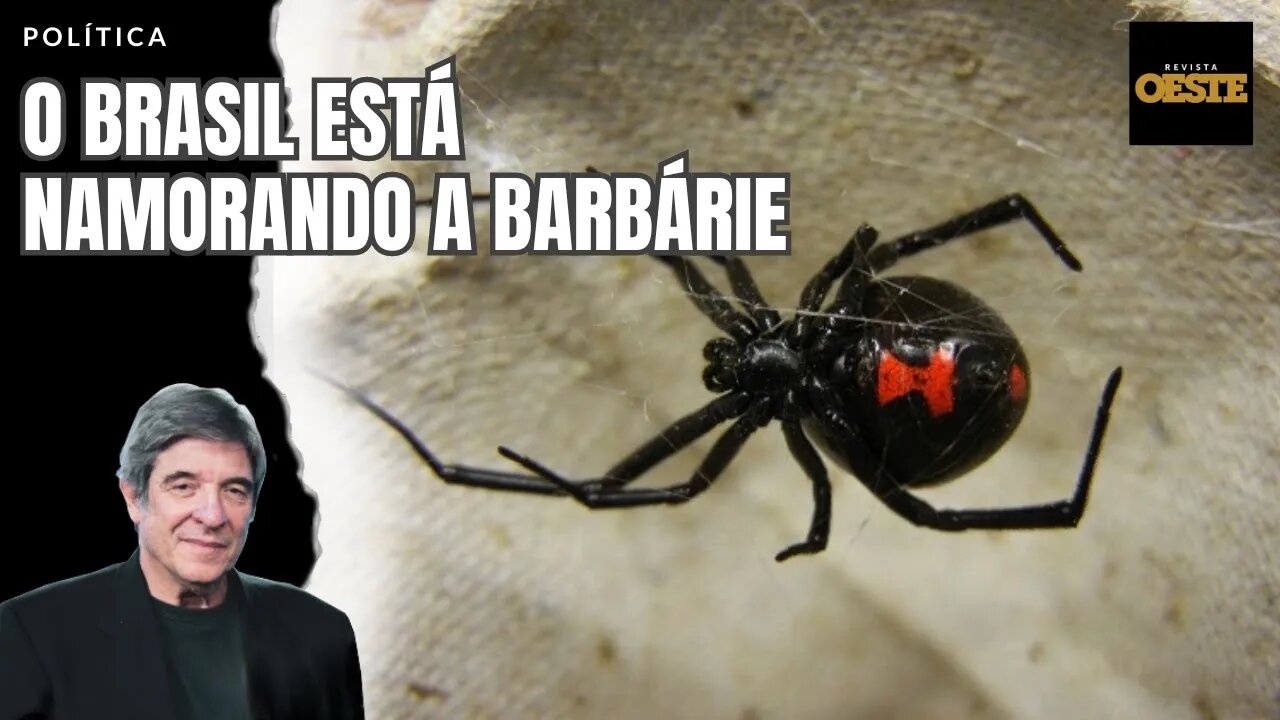 O BRASIL ESTÁ NAMORANDO A BARBÁRIE