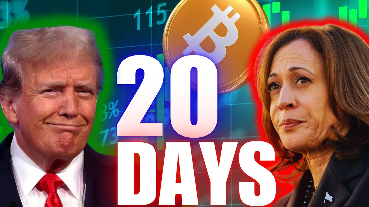 ULTIMATE Election Bitcoin Trading Strategy (Altcoin Christmas Shopping BEGINS!)