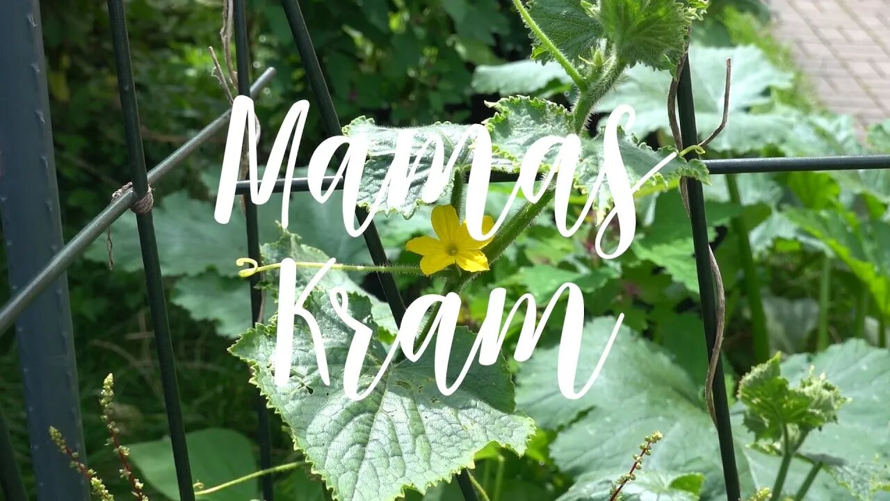 Mom's Diary - Aug. 11 to 17, 2023 - Zucchini harvest, naalbinding and attaching tomatoes etc.