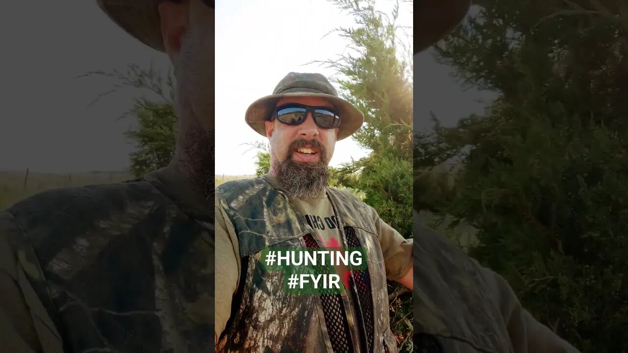 Put Down Your Screens and Go Hunting! #FYIR @kentuckysustainableliving3583