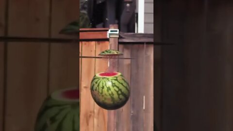 Sword vs. Watermelon