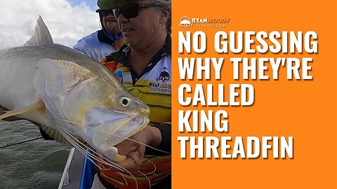 No guessing why they're called King Threadfin!