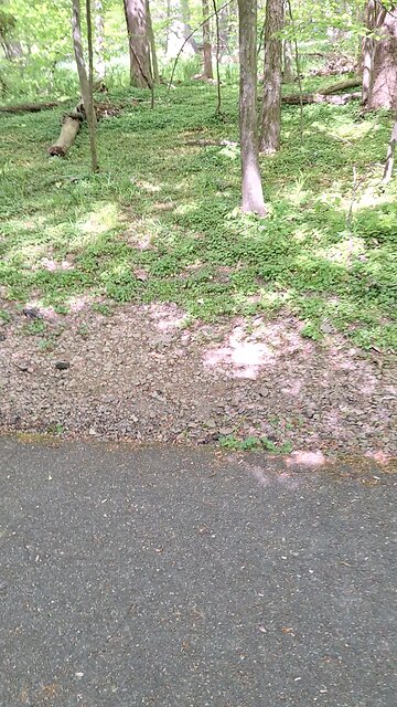 F*ck you Bitler Faux Biden