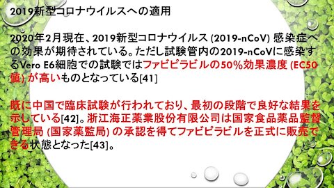 2020.02.17rkyoutube新型コロナウイルス戦争１５ イスラエル15人衆と米国の疑似コロナ風インフルエンザ