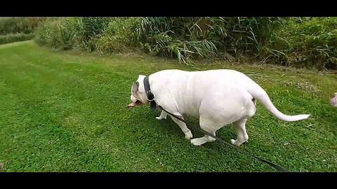 Winnie en Famke in Leeuwarden de grote wielen