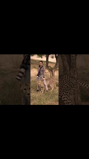 Animal Lover ❤️❤️ #shorts