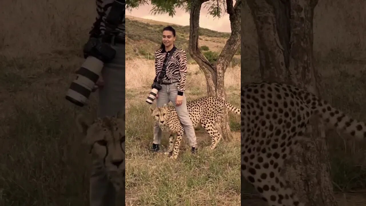 Animal Lover ❤️❤️ #shorts