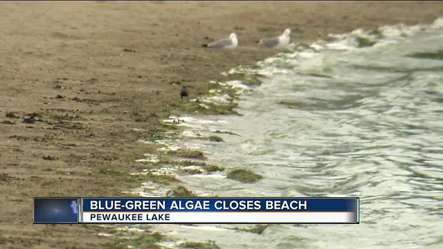 Possible blue-green algae could shut down Pewaukee beach