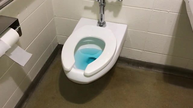 Sheboygan Police looking for 'serial toilet clogger'