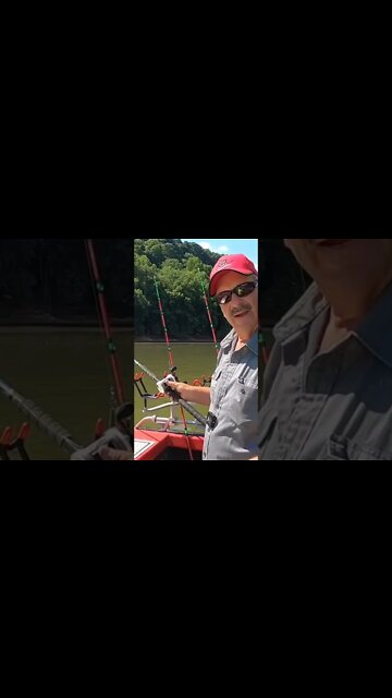 Easy catfishing Method