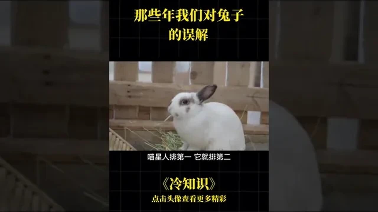 # science in those years we rabbits by mistake