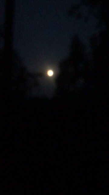 Moon 🌝 🌚 Bike 🚲