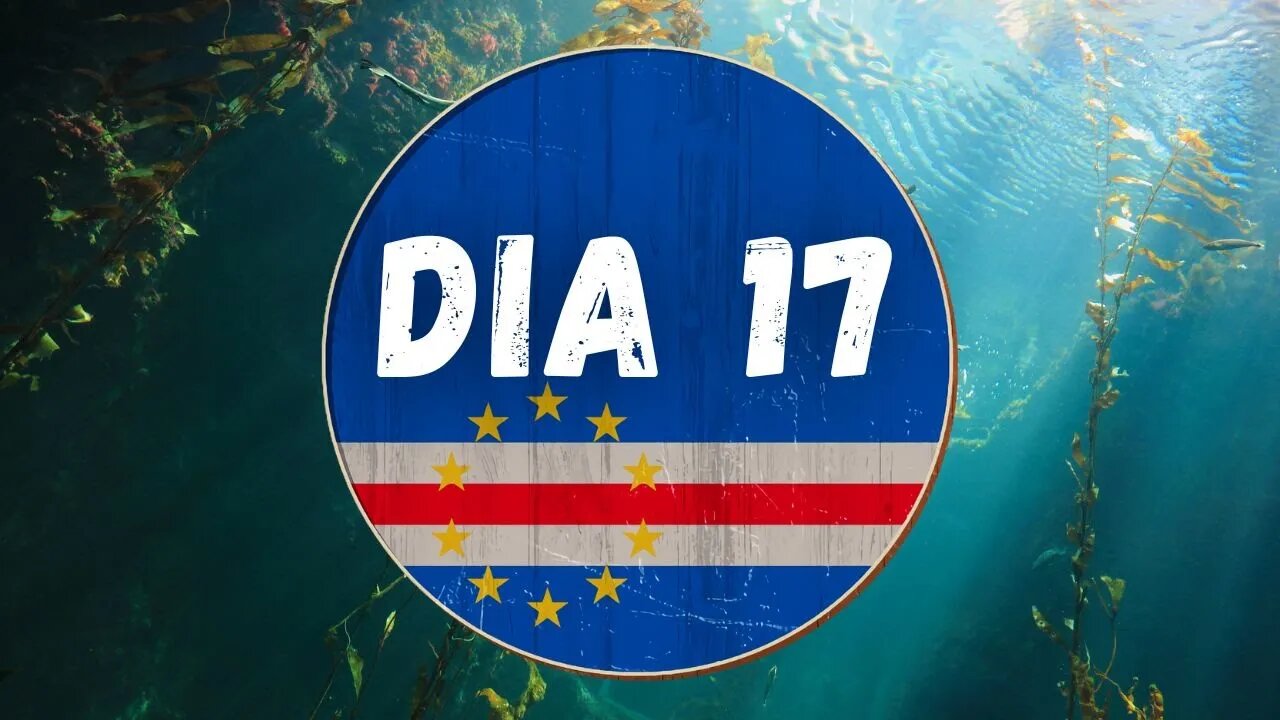 DIA 17