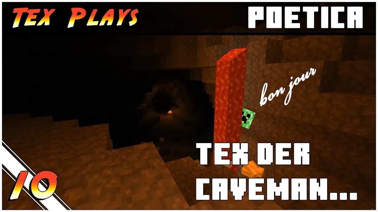 Minecraft Poetica (Terrafirmacraft 1.12) | "Tex der Caveman" [10]