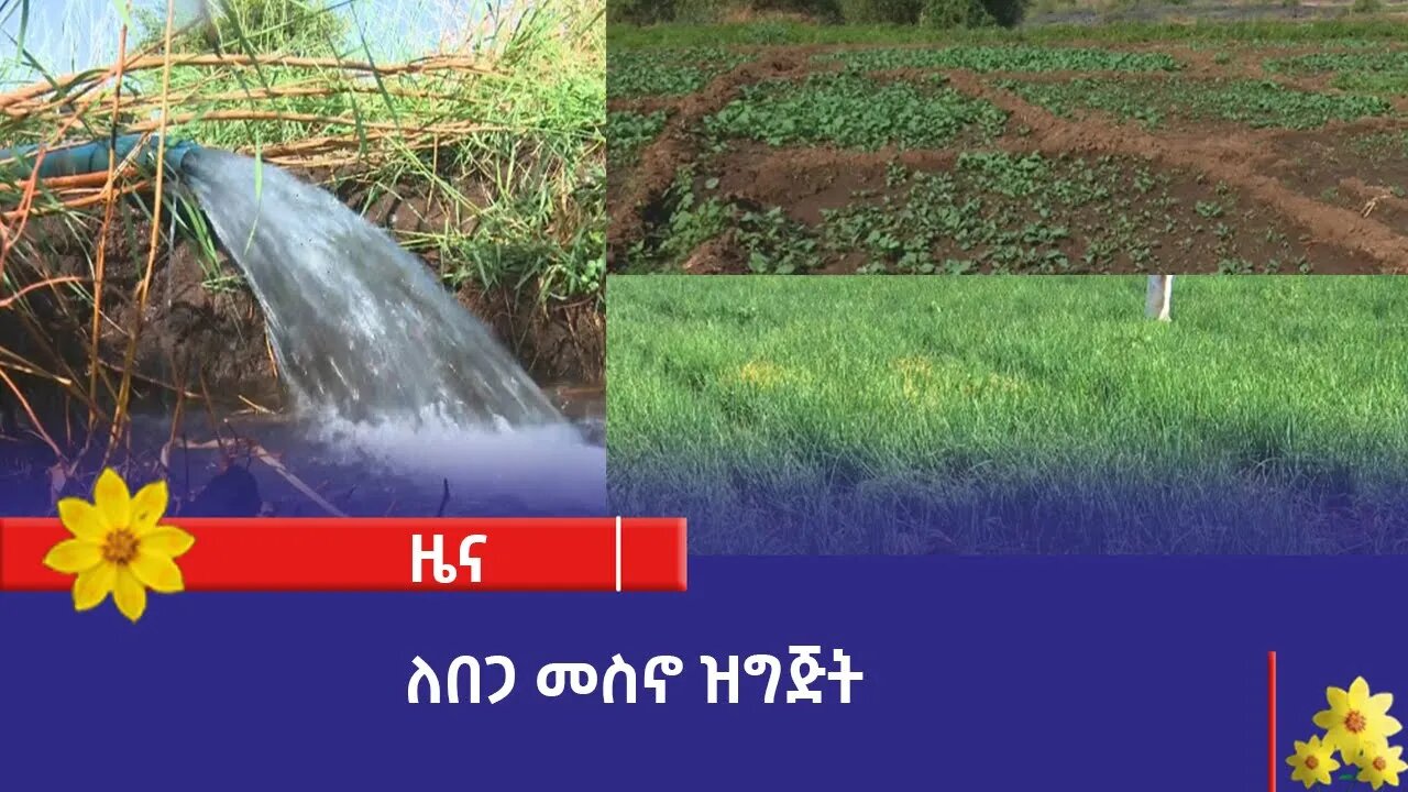 ለበጋ መስኖ ዝግጅት