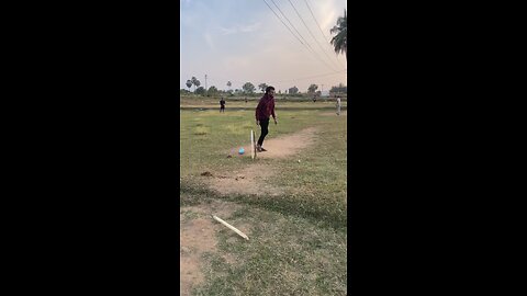 Cricket🏏 Shots