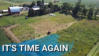 When Moving The Sheep Doesn't Go As Planned | Work Still Has To Get Done